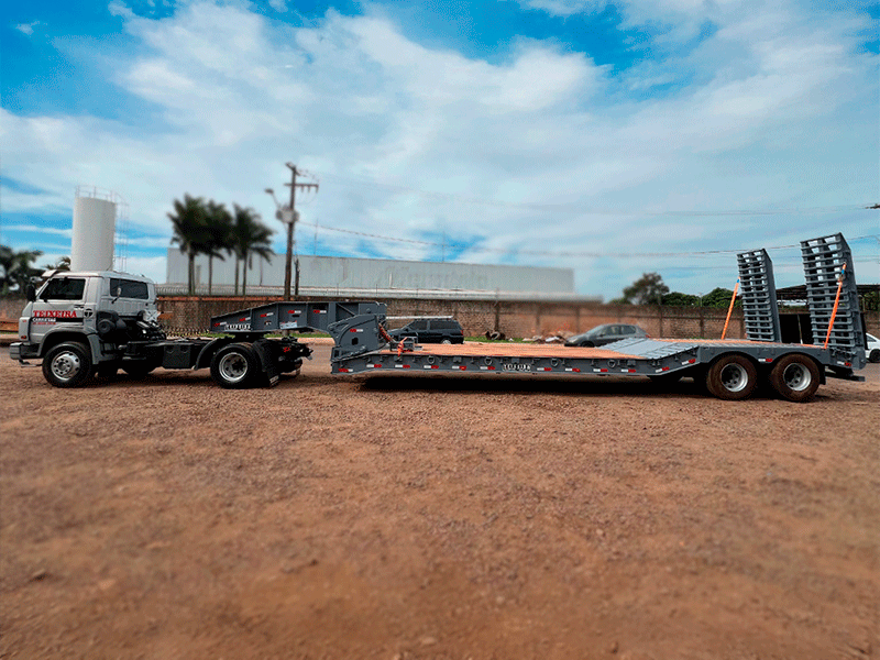 Prancha Pescoço Removível